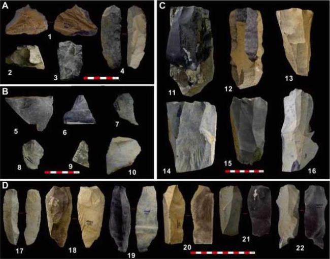 旧石器早期人类类型