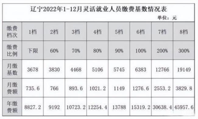 龙岩2022年灵活就业缴费标准