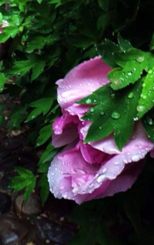 春雨润物长城内外景色秀下联