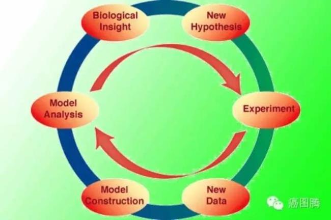 生物科学肯定是要学数学的吧