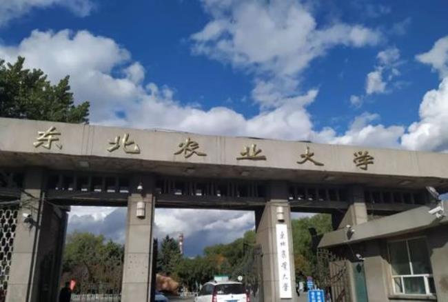 东北农业大学代号