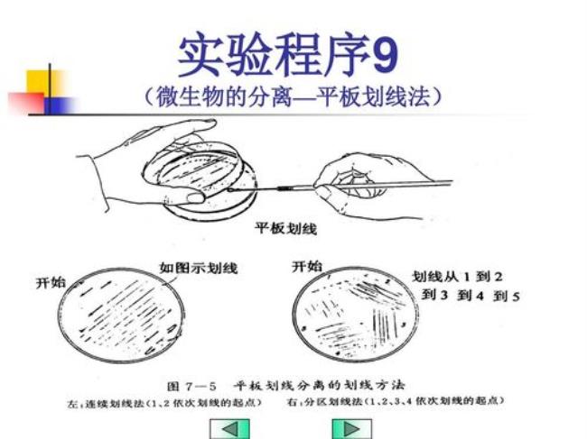 分区划线法的意义