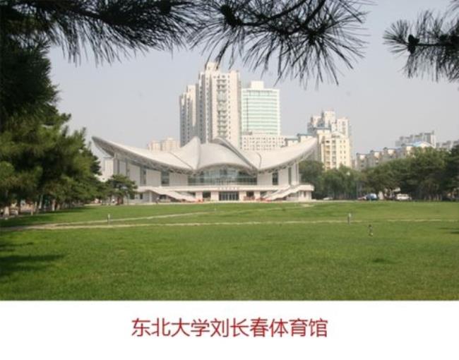 东北大学有畜牧系吗