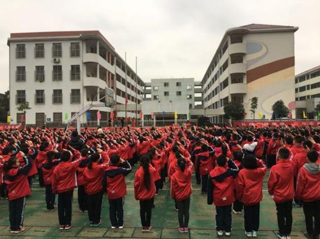 岳阳小学考哪个学校好