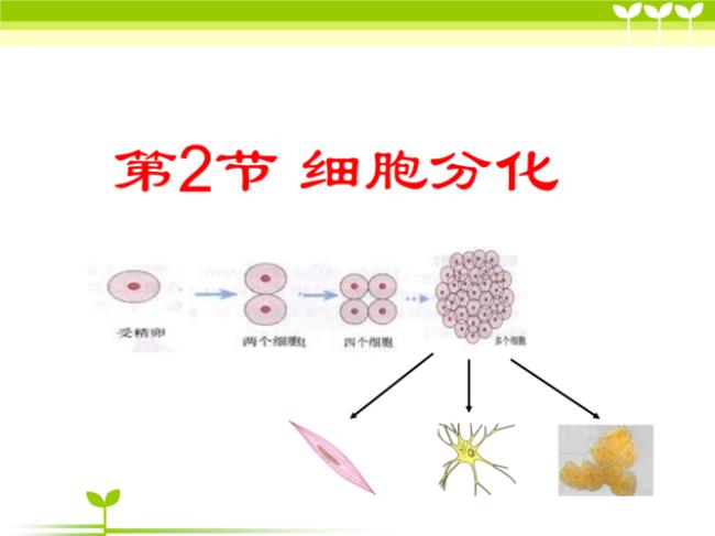 细胞生物有哪些