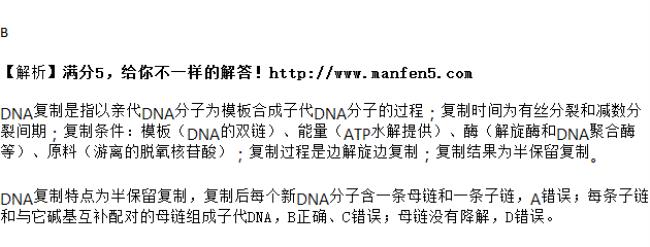 DNA有复制的意思吗