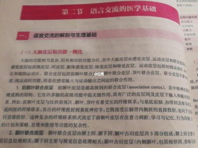 语言形成的生理基础是什么