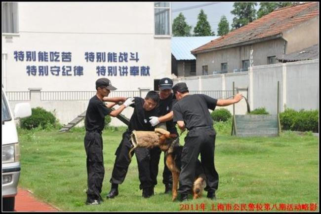 上海警校要什么条件