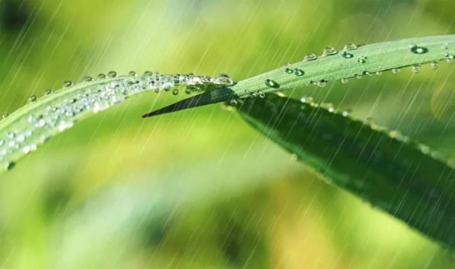 春雨淅沥沥古诗