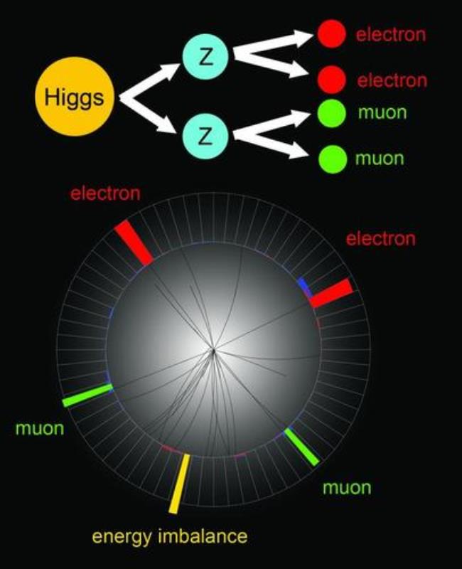 希格斯玻色子和夸克哪个小