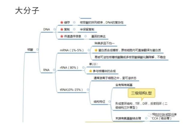 细胞生物学发展史意义