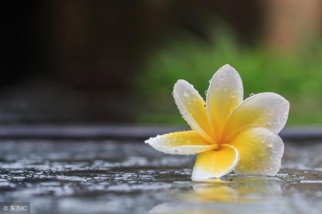 下雨天为什么总感觉淡淡的忧伤