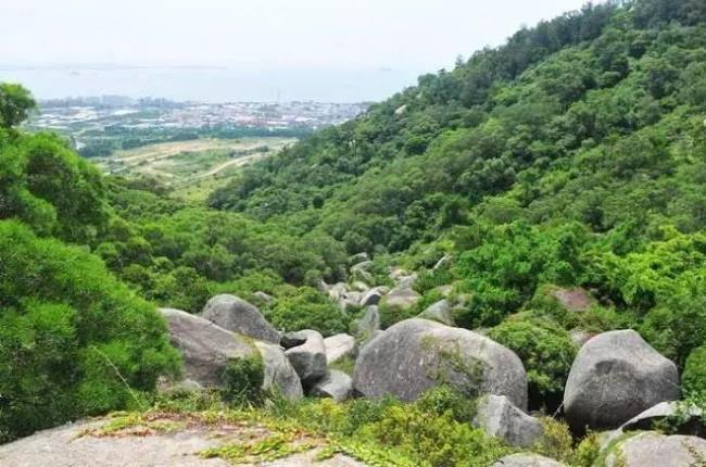 厦门仙岳山怎么去