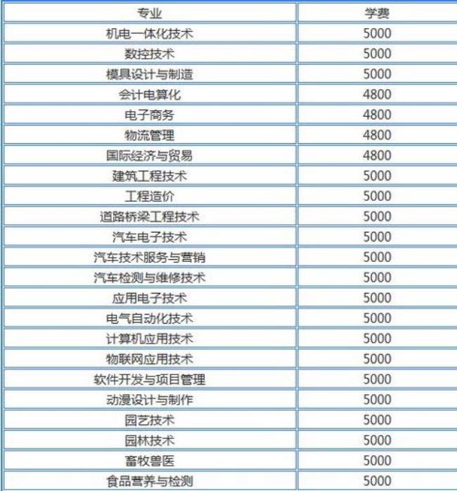 泰山职业学院能不能专升本