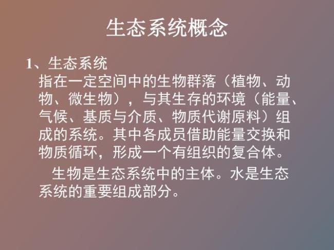 生态系统的概念是什么