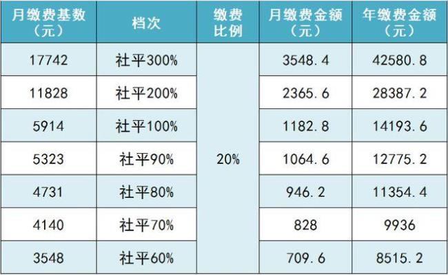 2022社保个人缴费标准