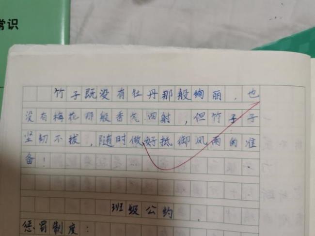 五年级第一次小练笔100字怎么写