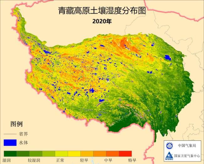 全球变暖对青藏高原物种的影响