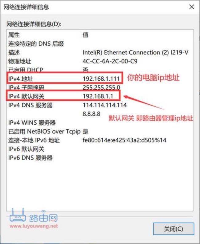 怎样查看网页ip