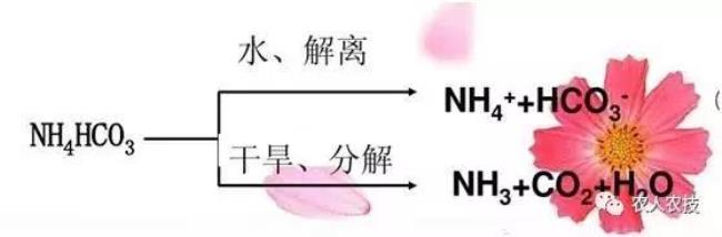 铵态氮肥化学方程式