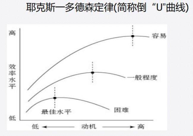 动机的表现形式主要有