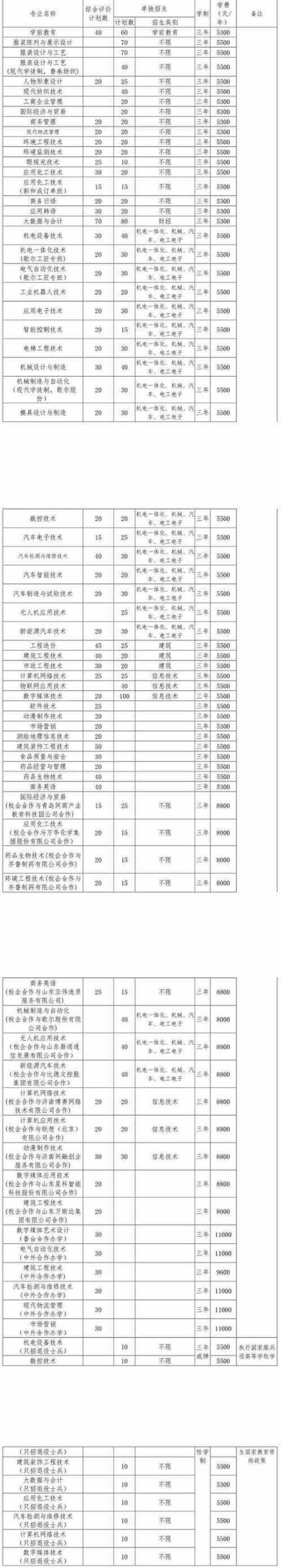 山东科技职业学院什么级别