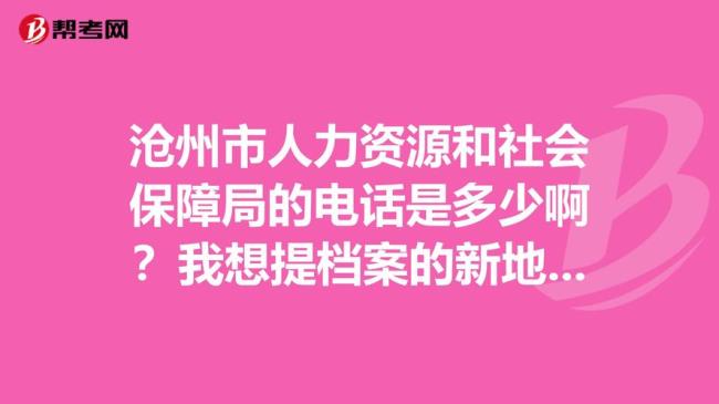 沧州社保查询