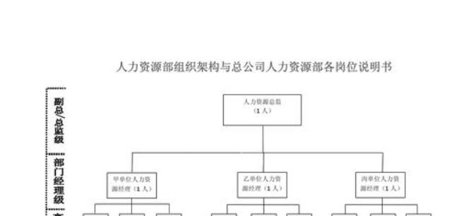 人力资源规划岗有哪些职位