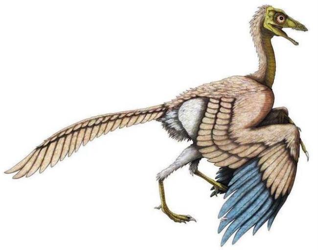 为什么恐龙会进化成鸟