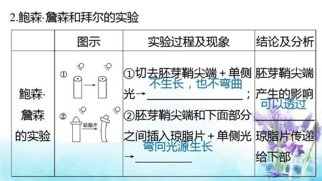 鲍森詹森琼脂有什么用