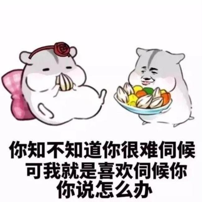 女朋友生气了应该怎么哄