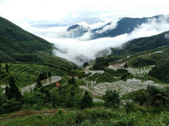 杭州至福建浦成县怎么走