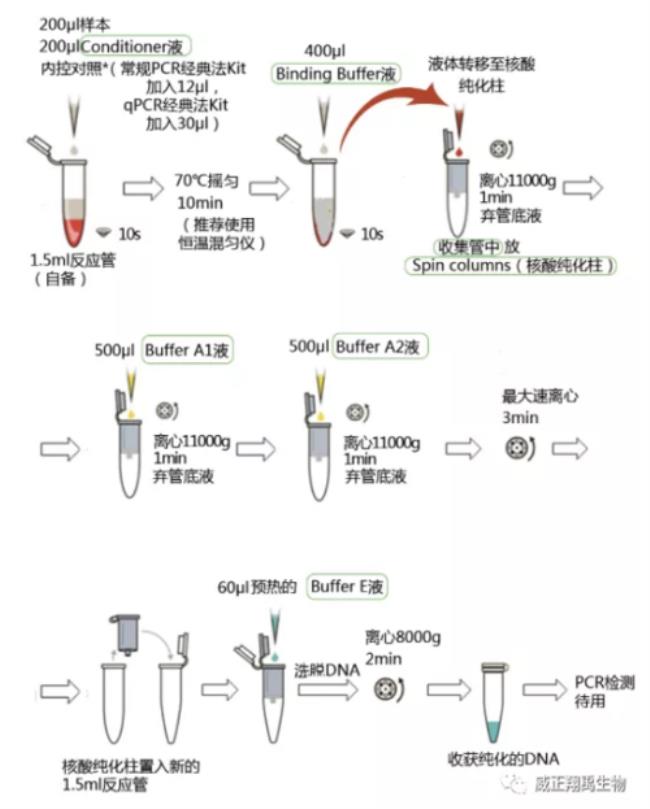 为什么需要对DNA进行纯化