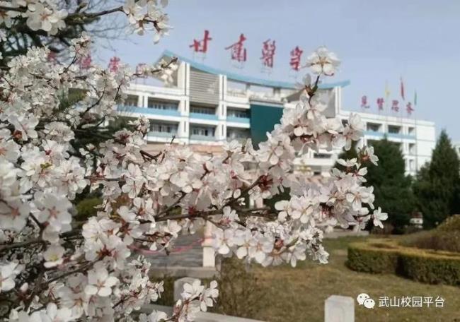 河西学院和陇东学院哪个好一点