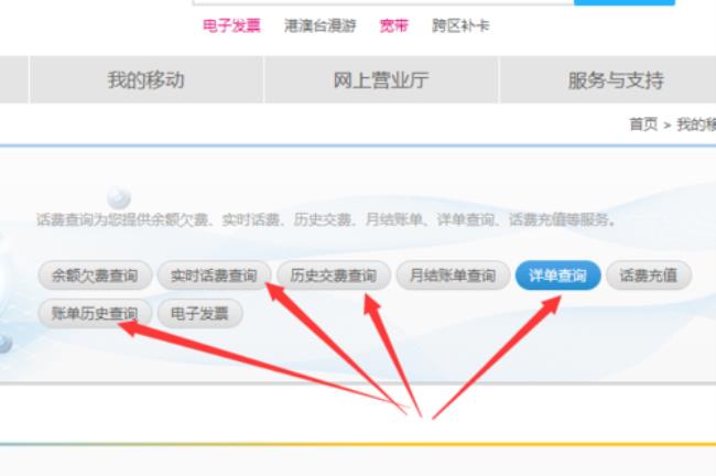 移动公司可以调出来通话记录嘛