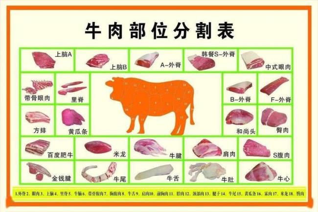 肉类是什么商品类目