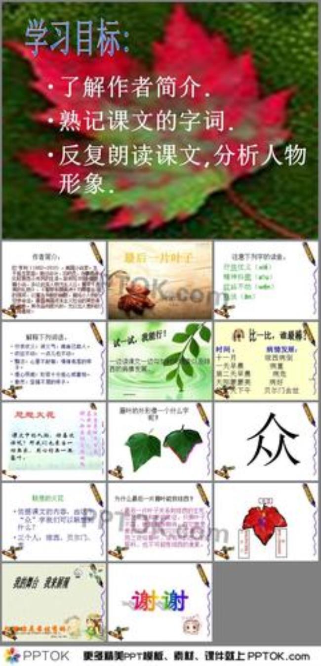 一片叶子四字成语大全