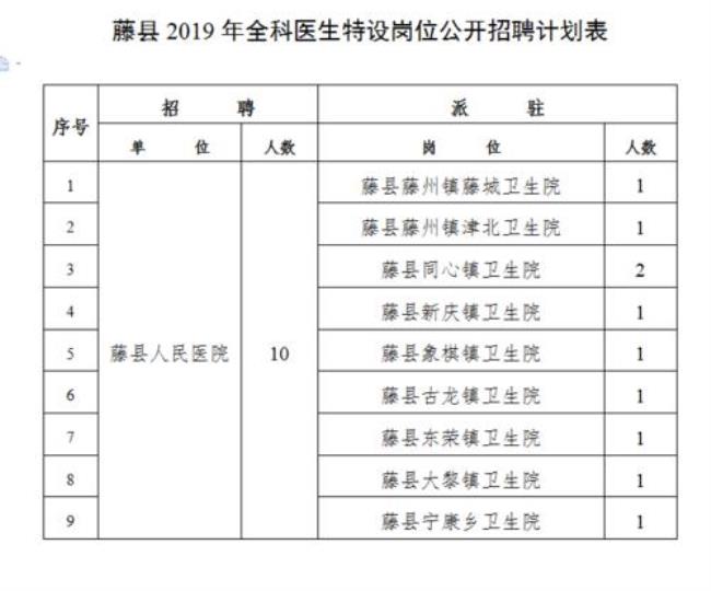 医生聘用岗位名称及等级怎么填