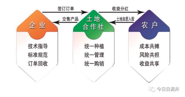 农业合作经济组织运行机制