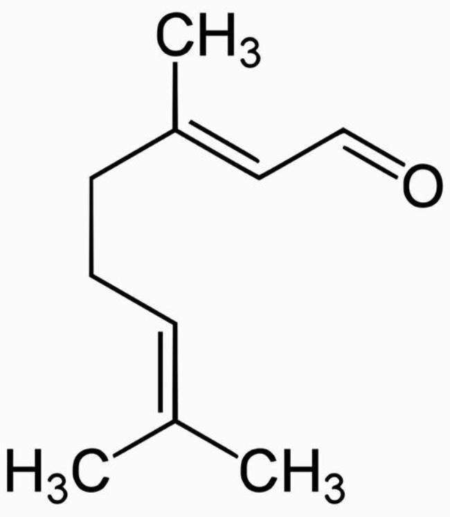 柠檬吸甲醛的效果好不好