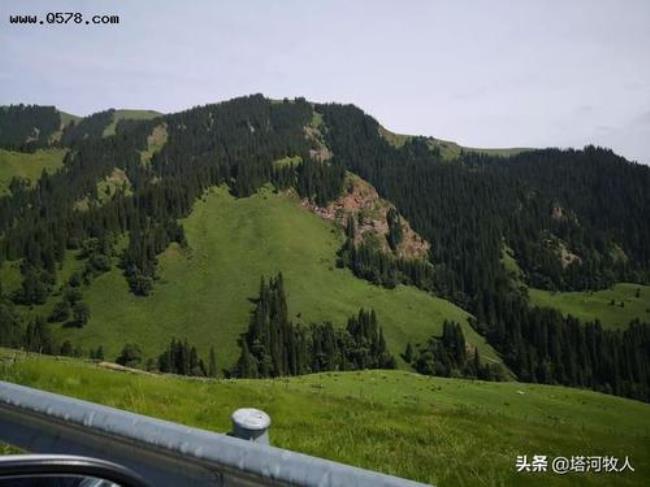 库车独库公路门票