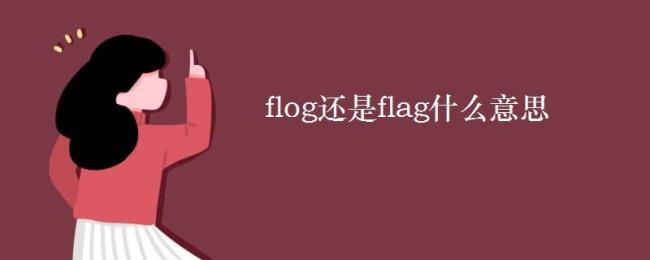 flag的中文含义