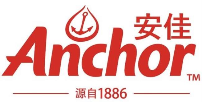 anchor是什么意思