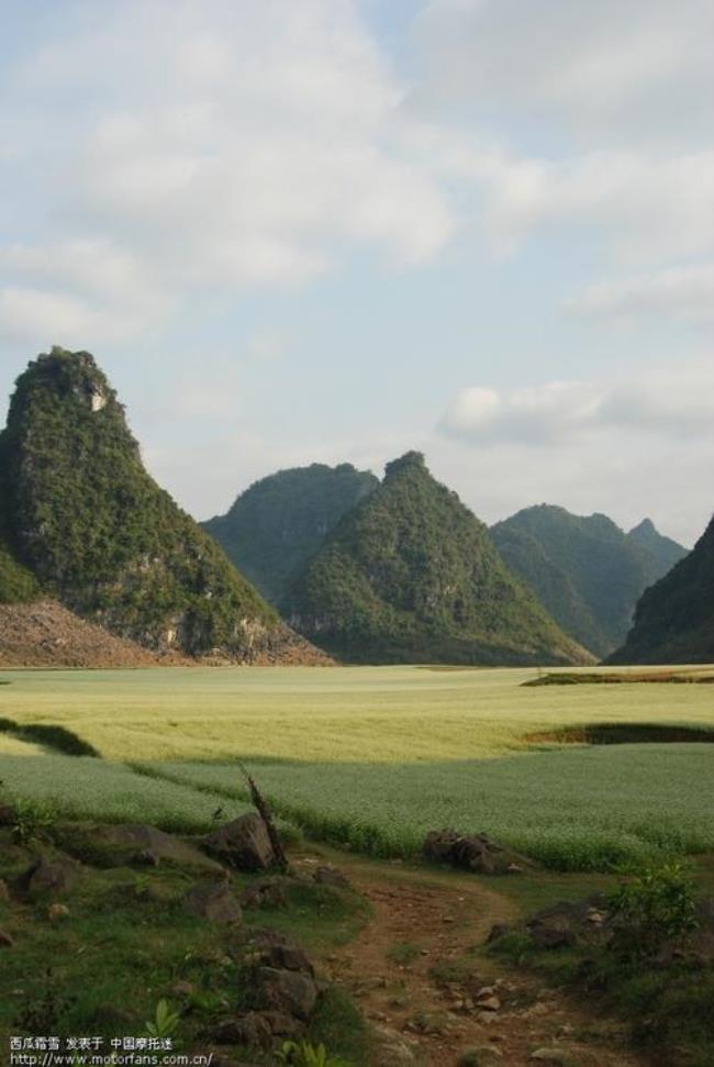 隆安是在哪里