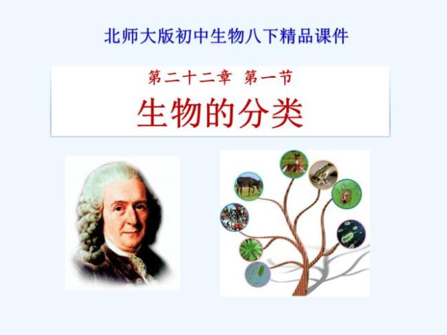 林奈提出的生物分类法有哪几类