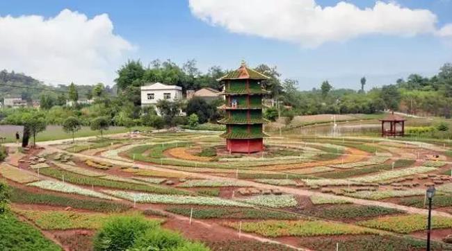 沙坪坝景区