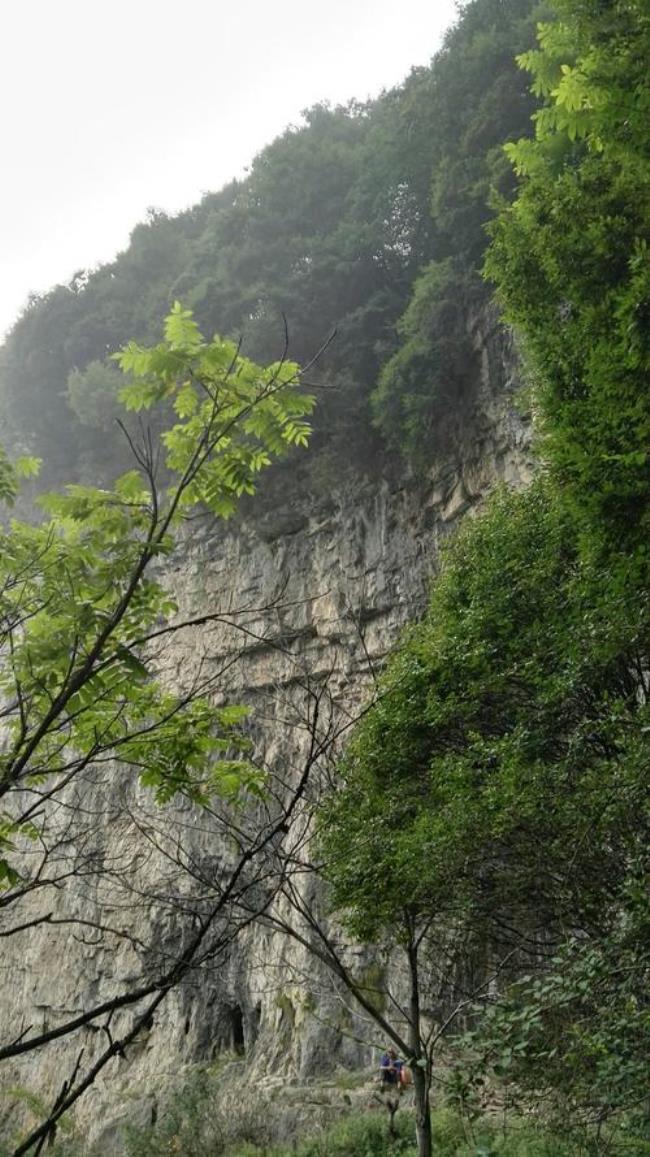 大足区海拔最高的山