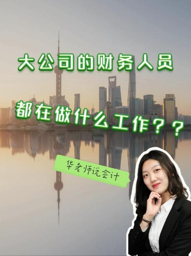 信息技术公司的会计干什么