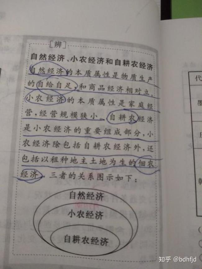 佃户属于个体农耕吗