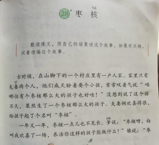 《枣核》主要讲了什么